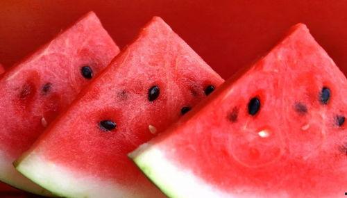 西瓜爆料网红炒作视频,网红炒作视频揭秘,真相令人咋舌 第1张 西瓜爆料网红炒作视频,网红炒作视频揭秘,真相令人咋舌 第1张